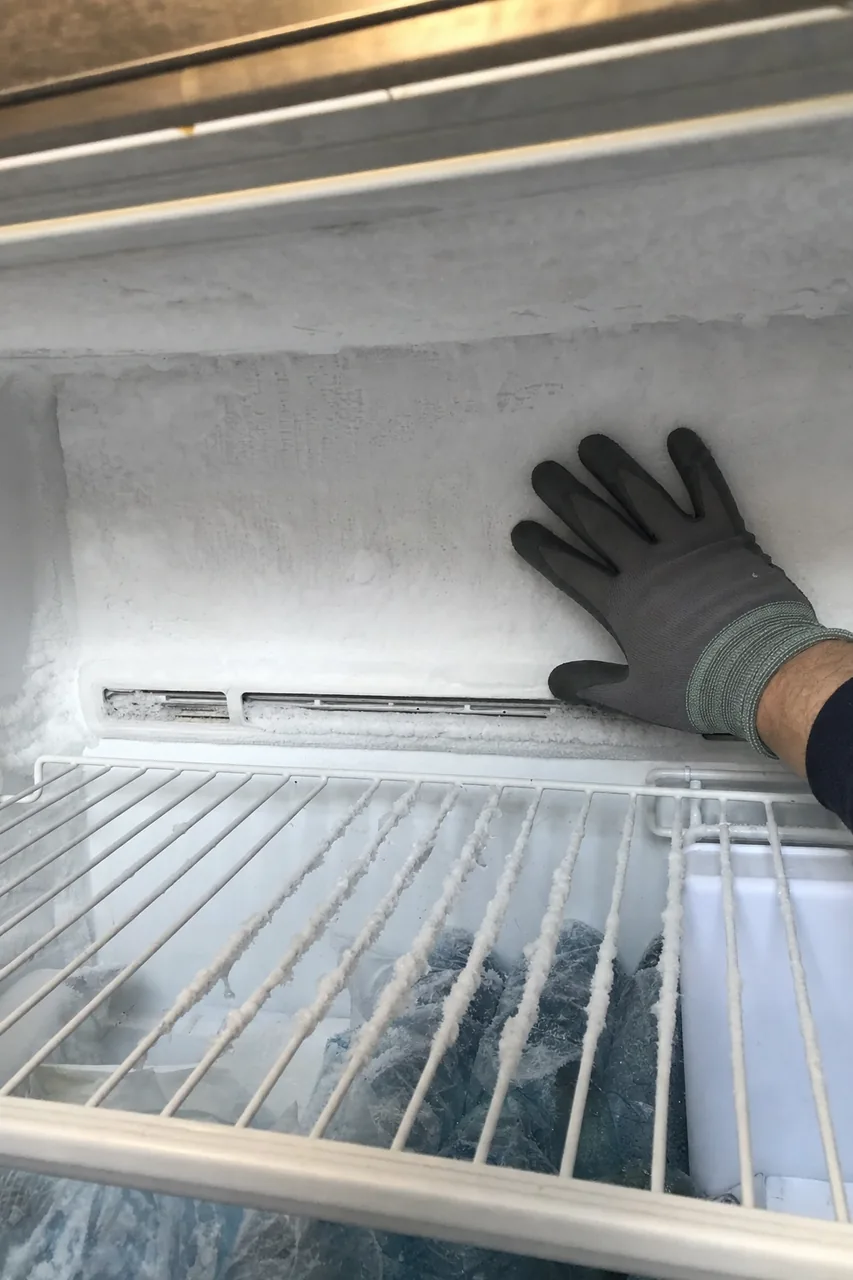 Mirrored view of the frosted compartment wall, the wire shelf pulled forward and ice built up over the vent.