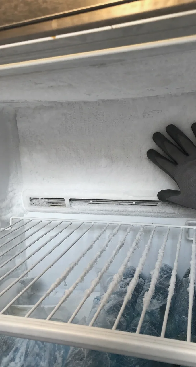 Mirrored close crop of the iced vent grille inside the freezer compartment, frost bridging the louvres.